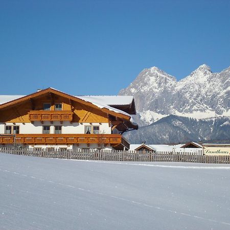 Landhaus Steiner سخلادميخ المظهر الخارجي الصورة
