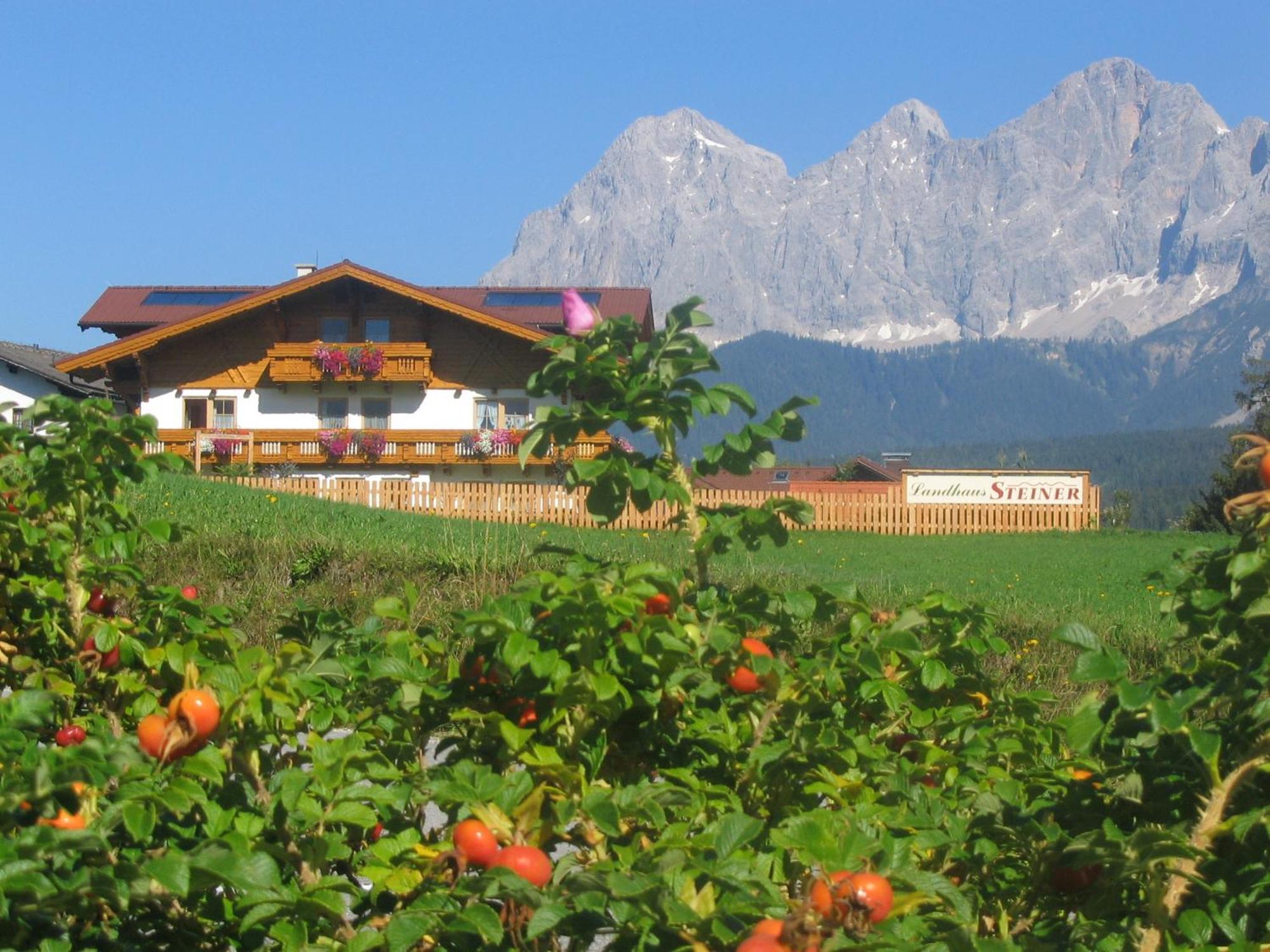 Landhaus Steiner سخلادميخ المظهر الخارجي الصورة