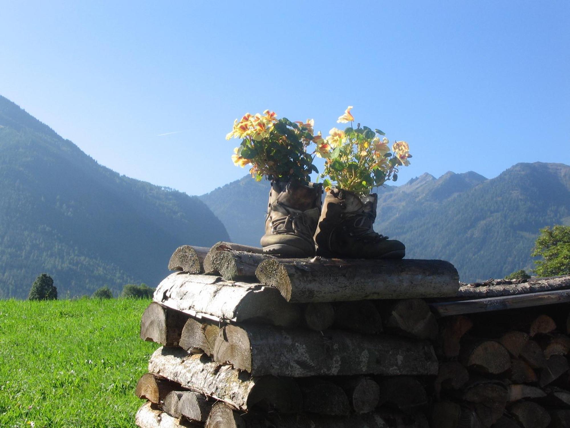 Landhaus Steiner سخلادميخ المظهر الخارجي الصورة