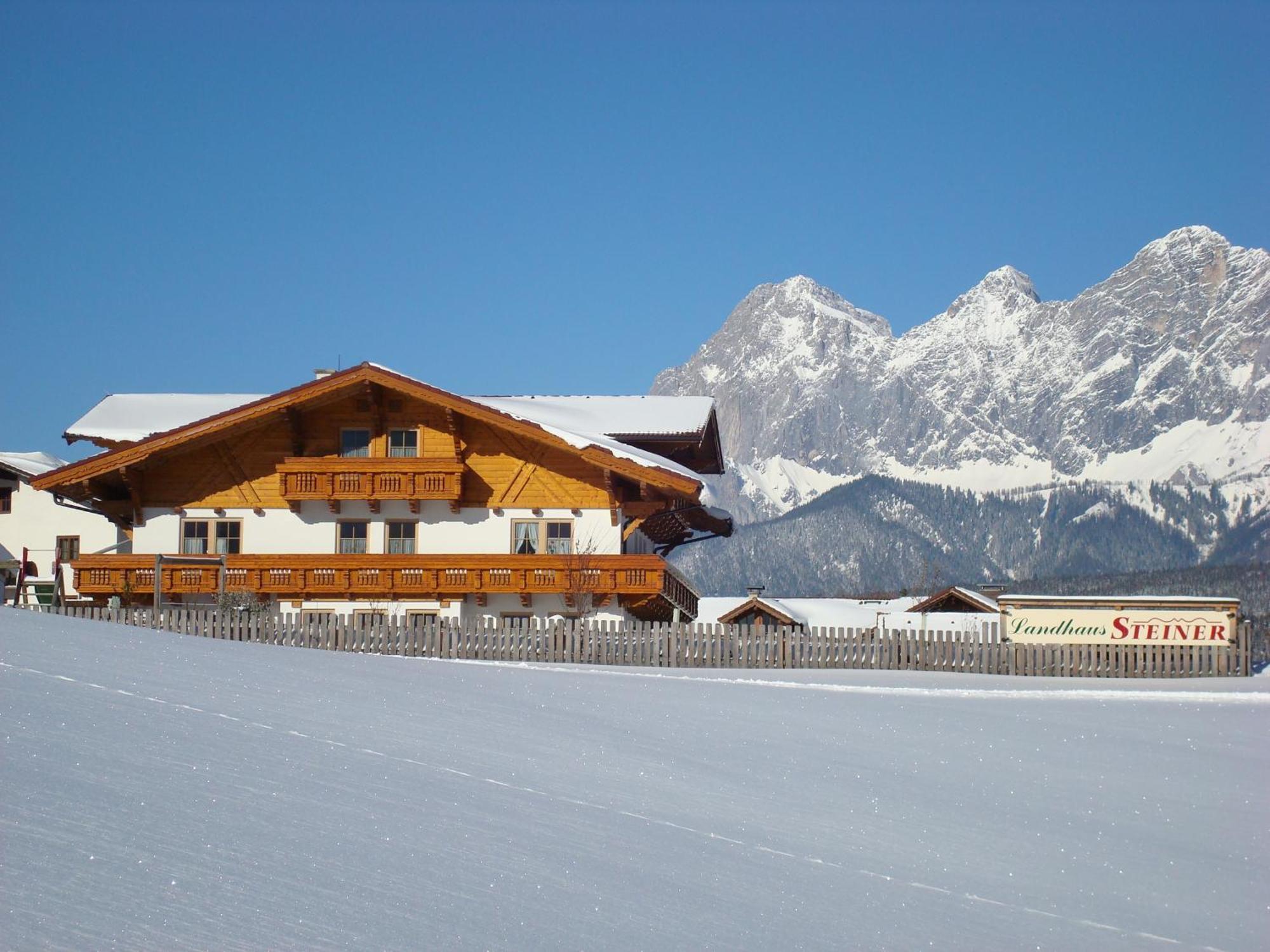 Landhaus Steiner سخلادميخ المظهر الخارجي الصورة